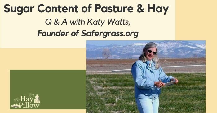 Katy Watts, leading authority on the NSC content in grass and hay.tent
