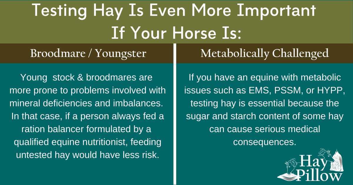 Testing hay is even more important for broodmares, growing stock or metabolically challenged horses