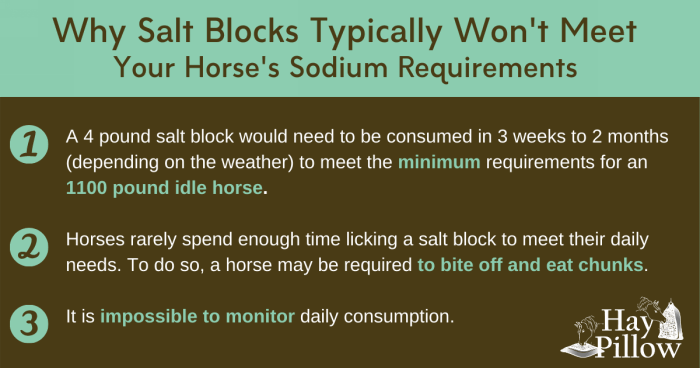 3 reasons why salt blocks for horses may not be a reliable source of sufficient sodium.